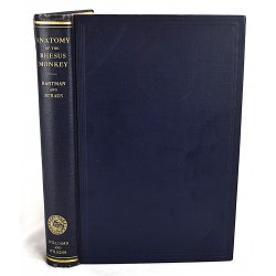 The Anatomy of the Rhesus Monkey (Macaca Mulatta) by T.H. Bast [and others] Illustrated by Benjamin Kopel